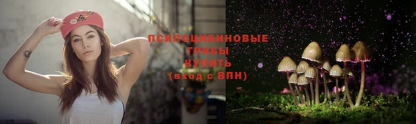 герыч Алексин