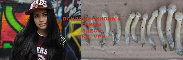 герыч Алексин