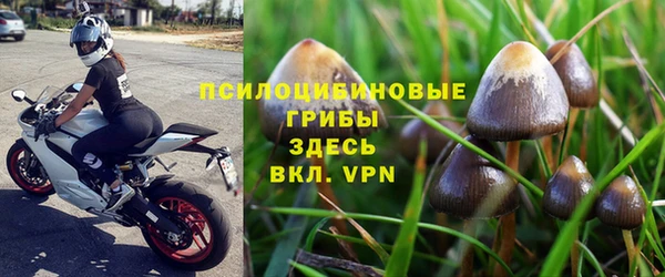 амф Алзамай